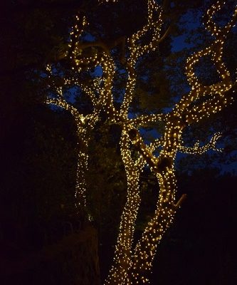 Outdoor Wedding and Party Venues Brought to Life with Enchanting Light Installations