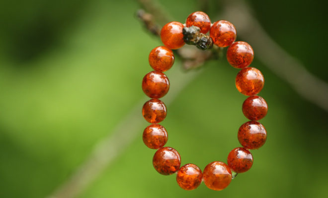 Imperial Time Launches Online Shop Filled with Beautiful Amber Jewellery from the Baltics