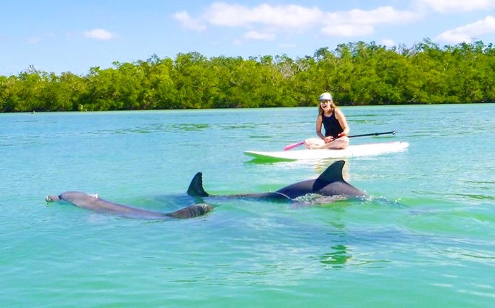 Paddle Naples Gives Tourists New Way to See Southwest Florida and Promises to Fill Itineraries