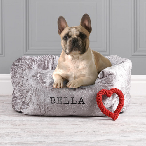 GiftPup extends its pet bed range following successful launch