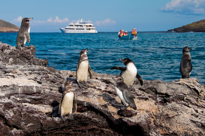 Galapagos Cruise Specialist Announces New Itineraries for 2021 Vacations